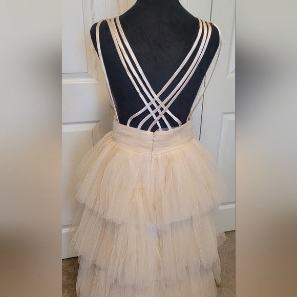 Elegant Cream Layered Tulle Evening Gown - Picture 9 of 16